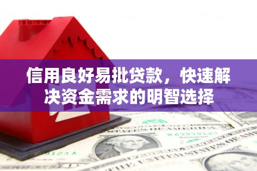 新蔡信用良好易批贷款，快速解决资金需求的明智选择