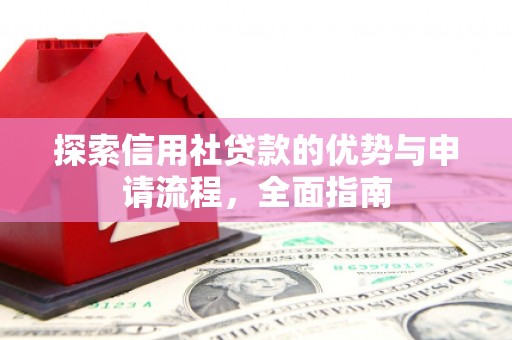 新蔡探索信用社贷款的优势与申请流程，全面指南