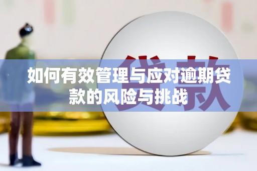 新蔡如何有效管理与应对逾期贷款的风险与挑战