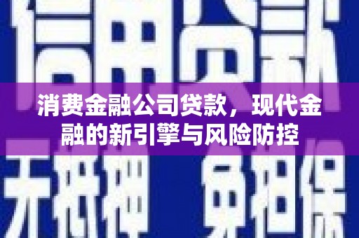 新蔡消费金融公司贷款，现代金融的新引擎与风险防控