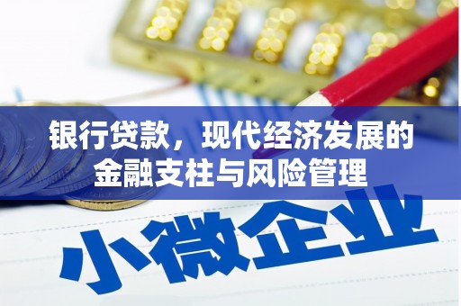 新蔡银行贷款，现代经济发展的金融支柱与风险管理