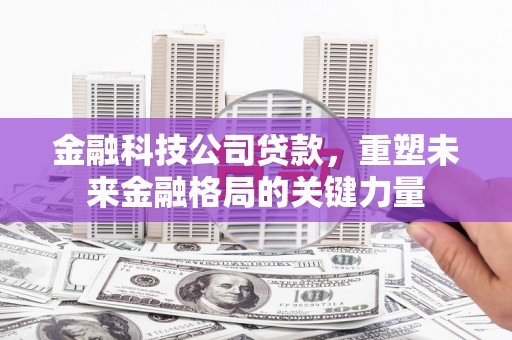 新蔡金融科技公司贷款，重塑未来金融格局的关键力量