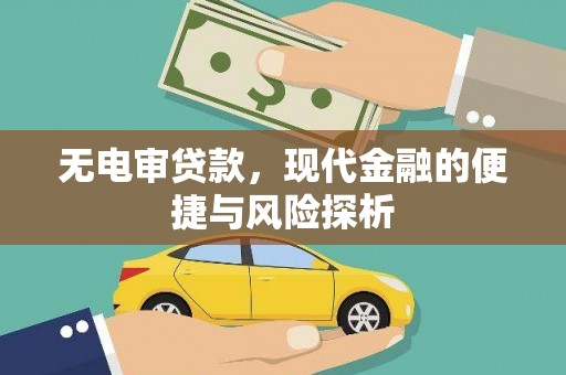 新蔡无电审贷款，现代金融的便捷与风险探析