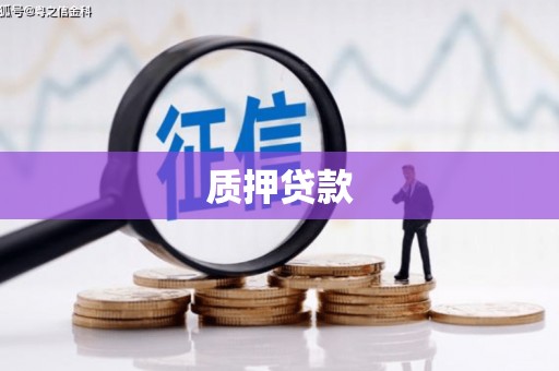 新蔡质押贷款