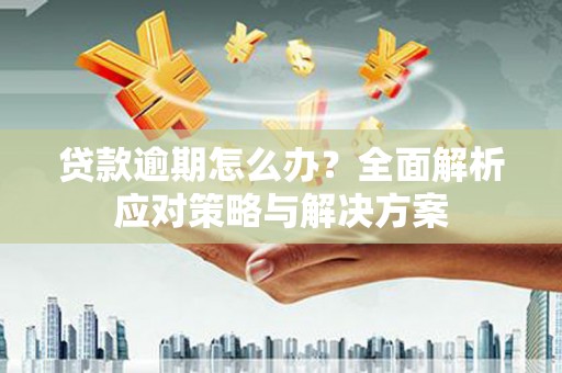 新蔡贷款逾期怎么办？全面解析应对策略与解决方案