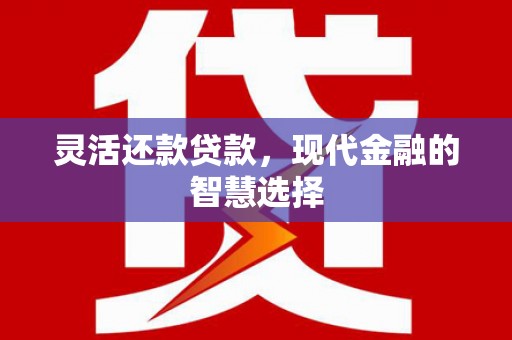 新蔡灵活还款贷款，现代金融的智慧选择