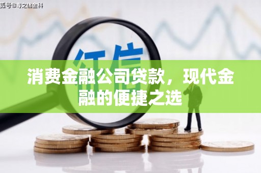 新蔡消费金融公司贷款，现代金融的便捷之选