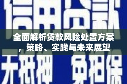 新蔡全面解析贷款风险处置方案，策略、实践与未来展望