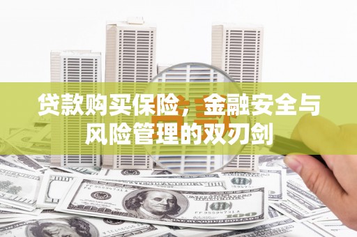 新蔡贷款购买保险，金融安全与风险管理的双刃剑