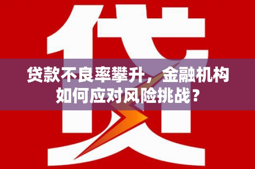 新蔡贷款不良率攀升，金融机构如何应对风险挑战？