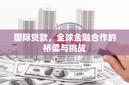 新蔡国际贷款，全球金融合作的桥梁与挑战