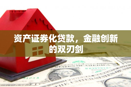 新蔡资产证券化贷款，金融创新的双刃剑