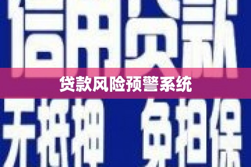 新蔡贷款风险预警系统