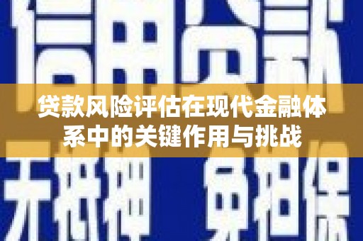 新蔡贷款风险评估在现代金融体系中的关键作用与挑战