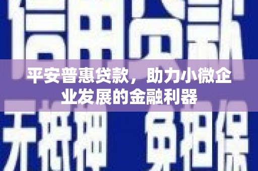 新蔡平安普惠贷款，助力小微企业发展的金融利器