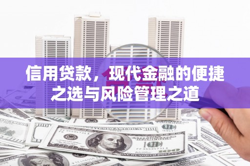 新蔡信用贷款，现代金融的便捷之选与风险管理之道