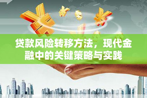 新蔡贷款风险转移方法，现代金融中的关键策略与实践