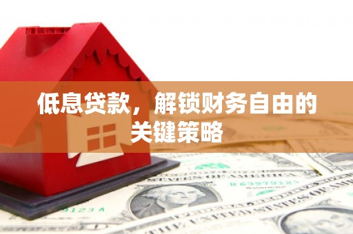 新蔡低息贷款，解锁财务自由的关键策略