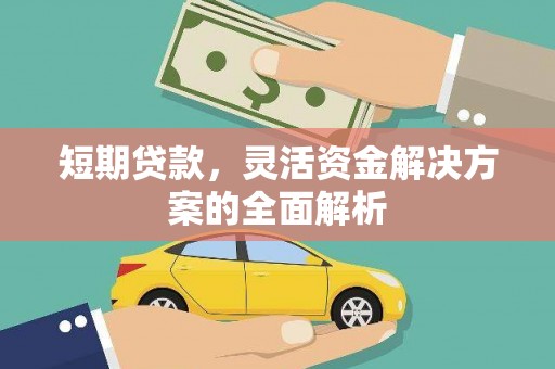 新蔡短期贷款，灵活资金解决方案的全面解析