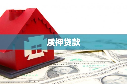 新蔡质押贷款