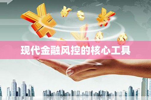 新蔡现代金融风控的核心工具