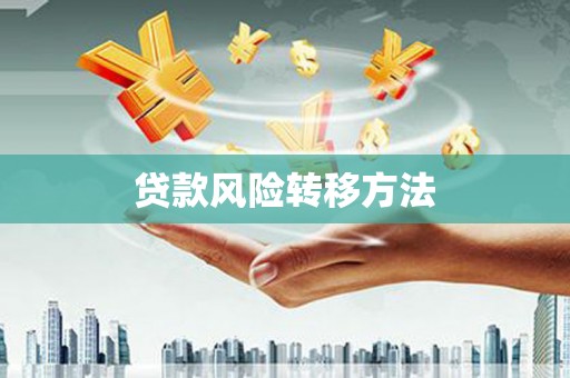 新蔡贷款风险转移方法