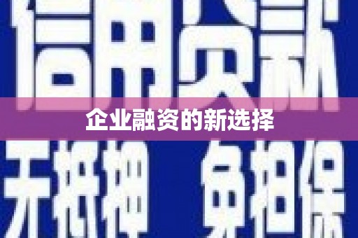 新蔡企业融资的新选择