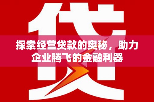 新蔡探索经营贷款的奥秘，助力企业腾飞的金融利器