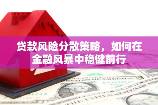 新蔡贷款风险分散策略，如何在金融风暴中稳健前行
