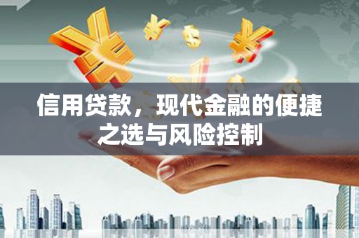 新蔡信用贷款，现代金融的便捷之选与风险控制