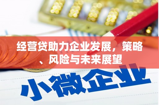新蔡经营贷助力企业发展，策略、风险与未来展望