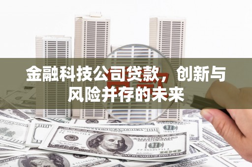 新蔡金融科技公司贷款，创新与风险并存的未来
