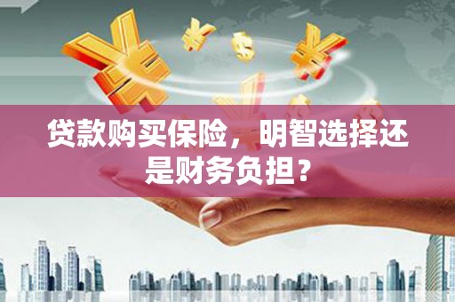 新蔡贷款购买保险，明智选择还是财务负担？