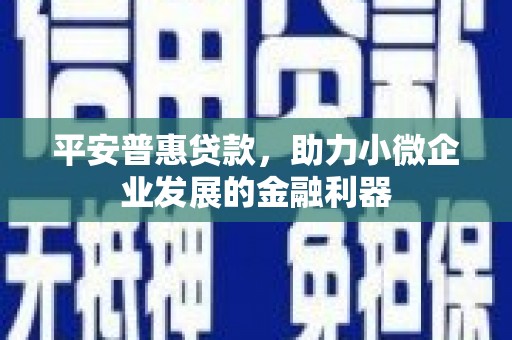 新蔡平安普惠贷款，助力小微企业发展的金融利器