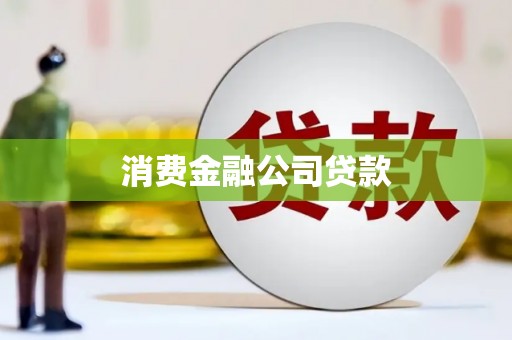 新蔡消费金融公司贷款