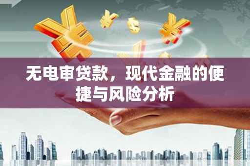 新蔡无电审贷款，现代金融的便捷与风险分析