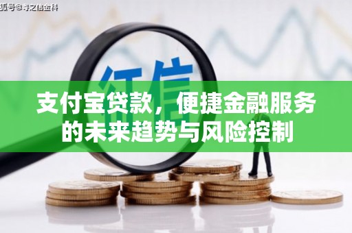 新蔡支付宝贷款，便捷金融服务的未来趋势与风险控制