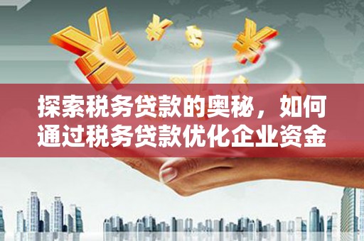 新蔡探索税务贷款的奥秘，如何通过税务贷款优化企业资金流