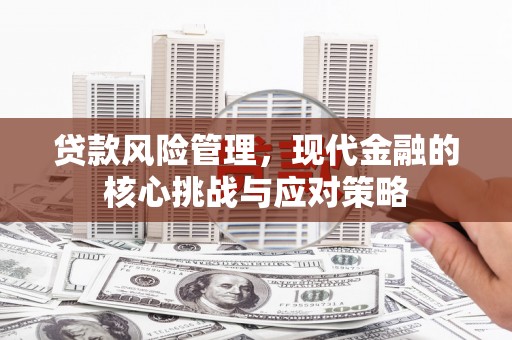 新蔡贷款风险管理，现代金融的核心挑战与应对策略