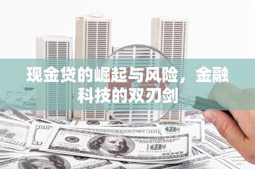 新蔡现金贷的崛起与风险，金融科技的双刃剑