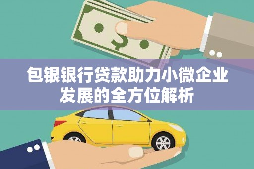 新蔡包银银行贷款助力小微企业发展的全方位解析