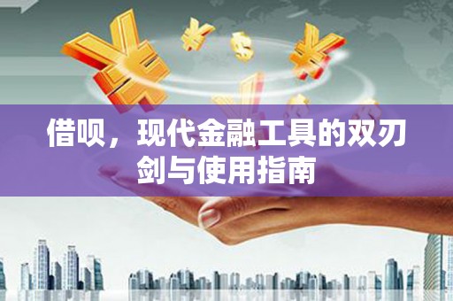 新蔡借呗，现代金融工具的双刃剑与使用指南