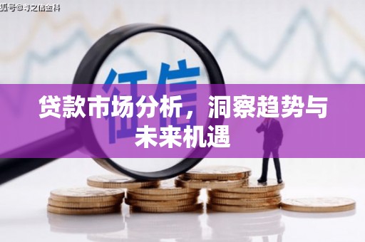 新蔡贷款市场分析，洞察趋势与未来机遇