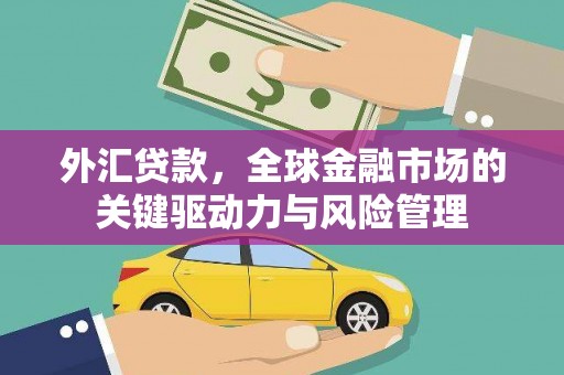 新蔡外汇贷款，全球金融市场的关键驱动力与风险管理