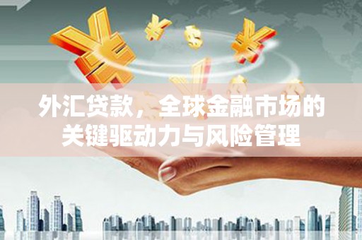 新蔡外汇贷款，全球金融市场的关键驱动力与风险管理