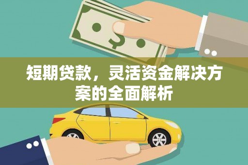 新蔡短期贷款，灵活资金解决方案的全面解析