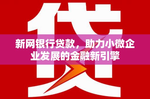 新蔡新网银行贷款，助力小微企业发展的金融新引擎