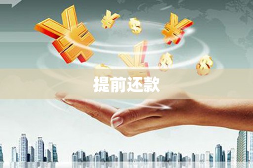 新蔡提前还款