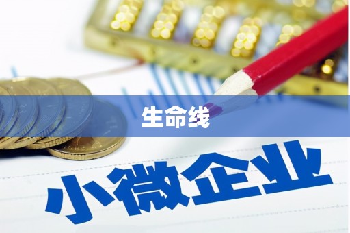 新蔡生命线