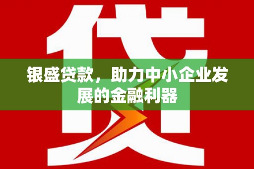 新蔡银盛贷款，助力中小企业发展的金融利器